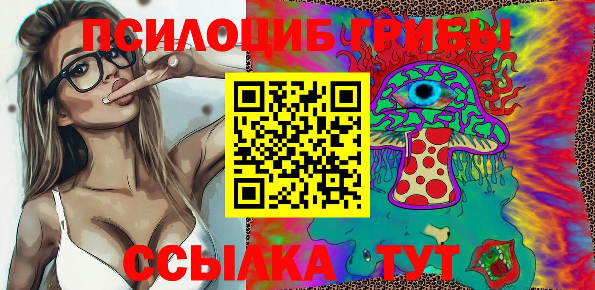 Мурманск  Псилоцибиновые грибы MAGIC MUSHROOMS  как найти наркотики  Галлюциногенные грибы ЛСД  Вход с VPN 